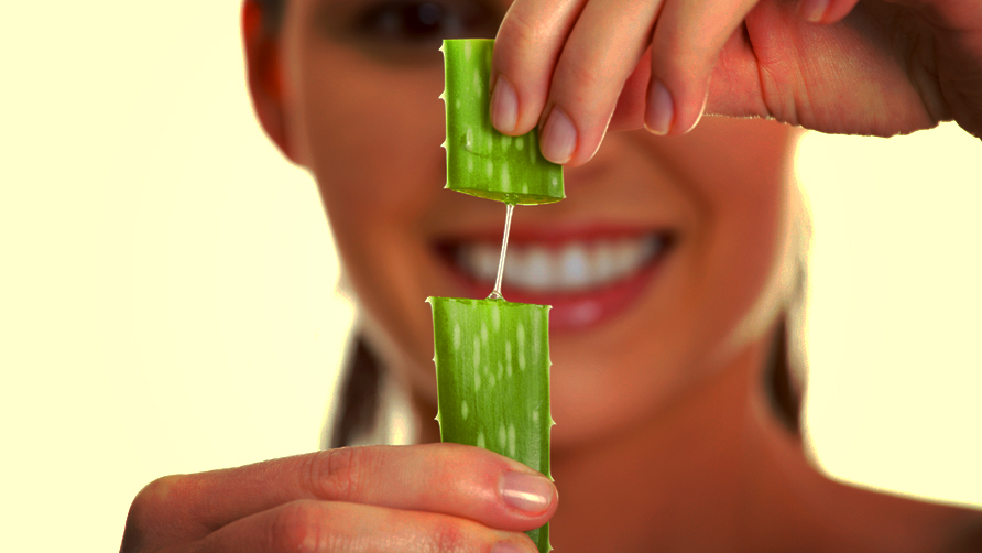 DIY Aloe Vera Hair Repair Secret